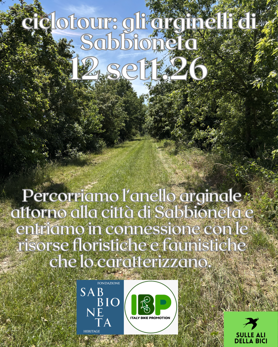 GLI ARGINELLI DI SABBIONETA (1).png