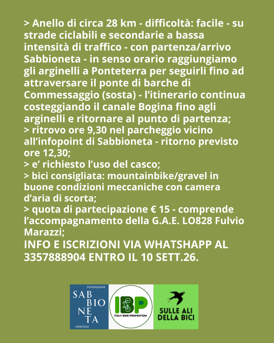 GLI ARGINELLI DI SABBIONETA (2).png
